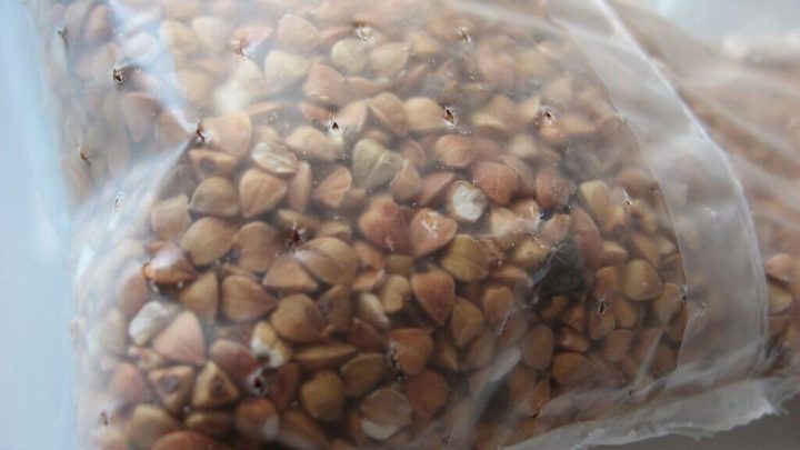 Zasady gotowania kaszy – na sypko, półsypko i gęsto