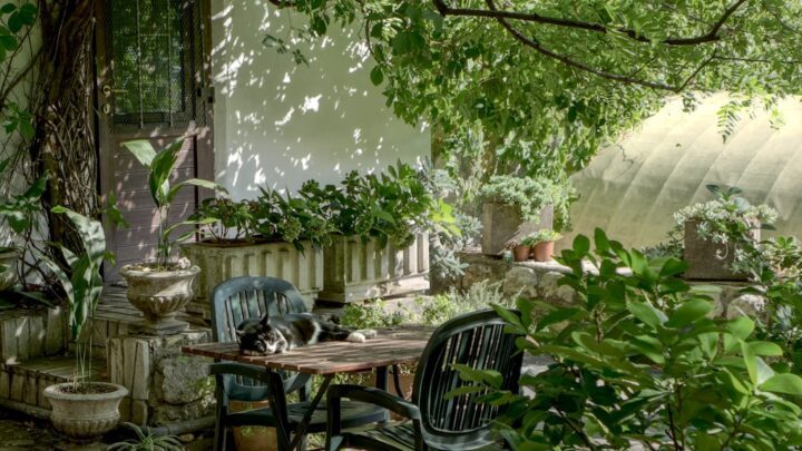 Przytulna przestrzeń na balkonie – jak urządzić wygodne miejsce do wypoczynku?