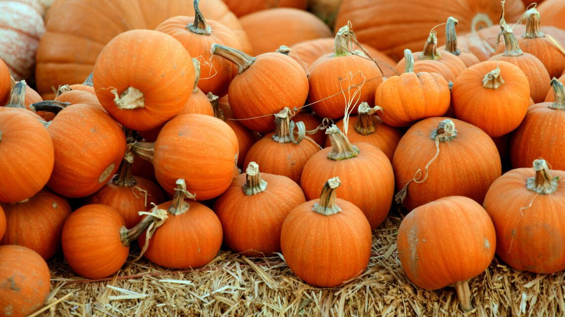Kiedy Halloween i co warto wiedzieć o tym święcie? Kiedy Halloween i co warto wiedzieć o tym święcie?
